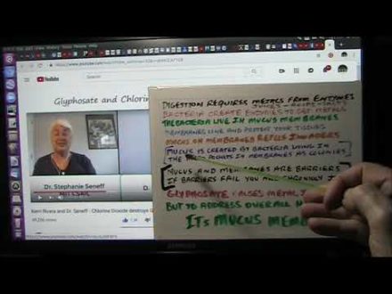 Glyphosate Cancer Bacteria Ezymes and Gut Chemistry pt1