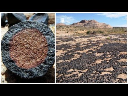 Rare Earth Sources Identified and Not Rare