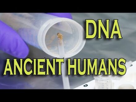 A new look into DNA and how it came to be