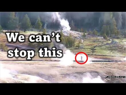 Yellowstone National Park Just Sent A Chilling Message After Finding This Inside The National Park