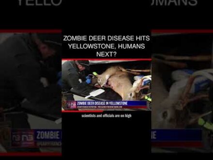 First case of ‘Zombie Deer Disease’ confirmed in Yellowstone
