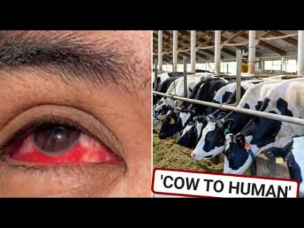 Texas Farm Worker ‘Bleeding from Eyeballs’ After First Transmission of Bird Flu from Mammal to Human