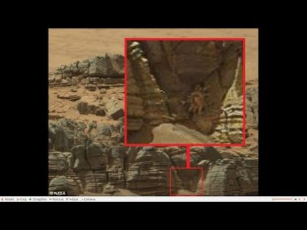 Hard Evidence of Fossils Found on Mars by the  Curiosity Rover